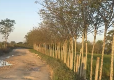 Captura-de-pantalla-2025-03-07-a-las-6.00.42 p.-m